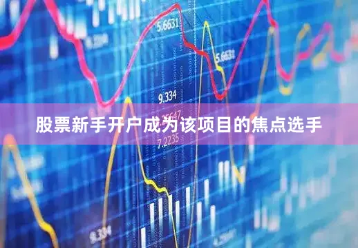 股票新手开户成为该项目的焦点选手
