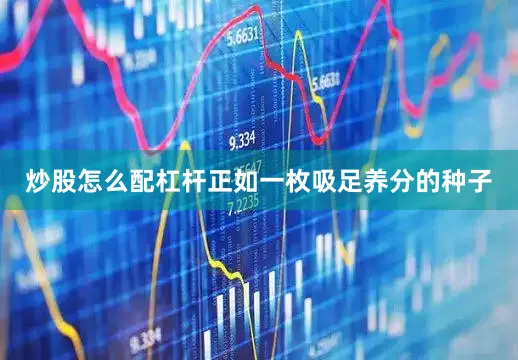 炒股怎么配杠杆正如一枚吸足养分的种子