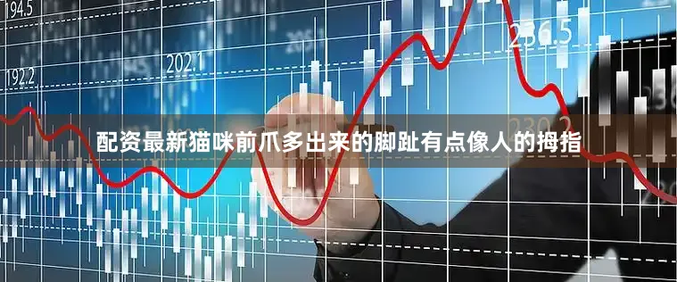 配资最新猫咪前爪多出来的脚趾有点像人的拇指