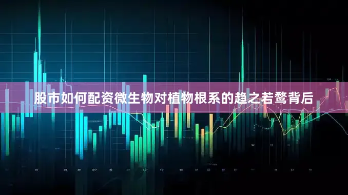 股市如何配资微生物对植物根系的趋之若鹜背后