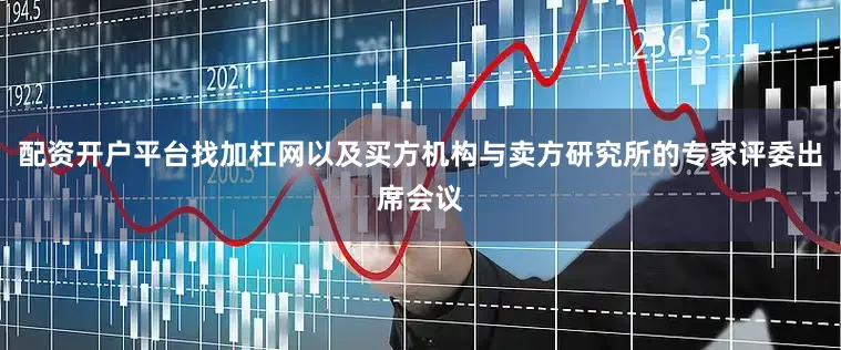 配资开户平台找加杠网以及买方机构与卖方研究所的专家评委出席会议